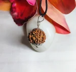 9 Mukhi Rudraksha