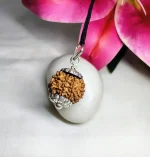 9 Mukhi Rudraksha