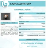 9 Mukhi lab Certificate