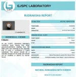 9 Mukhi lab Certificate