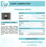 9 Mukhi lab Certificate