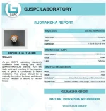 9 Mukhi lab Certificate