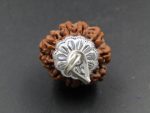 9 Mukhi lab Rudraksha