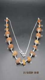 Aishwarya Sarva Siddha lab Mala