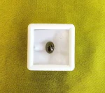 Cat's Eye (Lahasunia)