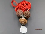Kalsarpa lab Rudraksha Mala