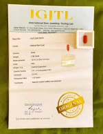 Red Coral Certificate