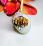 12 Mukhi Rudraksha