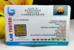 13 Mukhi Certificate