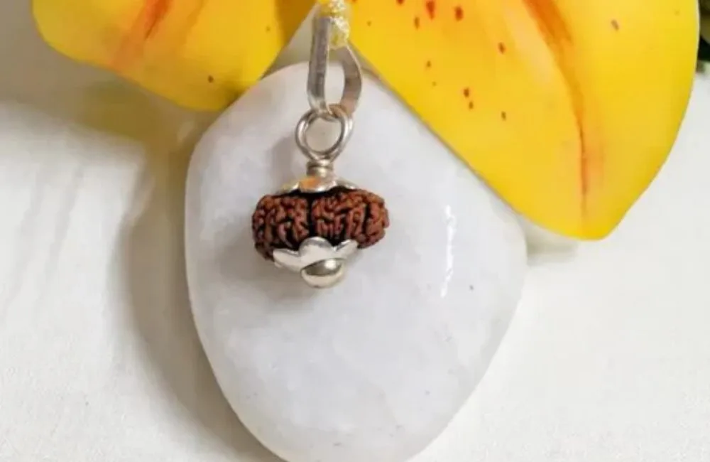 15 Mukhi Rudraksha