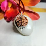 6 Mukhi Rudraksha