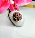 6 Mukhi Rudraksha