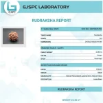 6 Mukhi lab Certificate