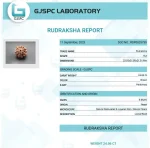 6 Mukhi lab Certificate