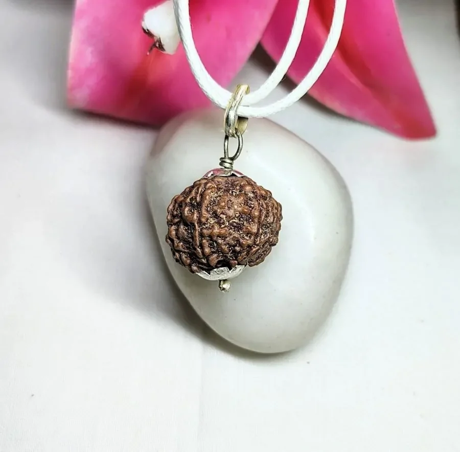 7 Mukhi Rudraksha
