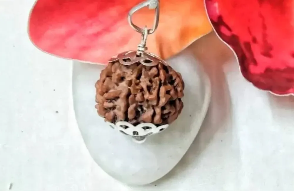 7 Mukhi Rudraksha