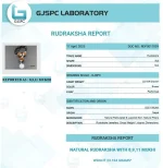 Kalsarpa Rudraksha Mala lab Certificate
