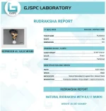 Kalsarpa Rudraksha Mala lab Certificate