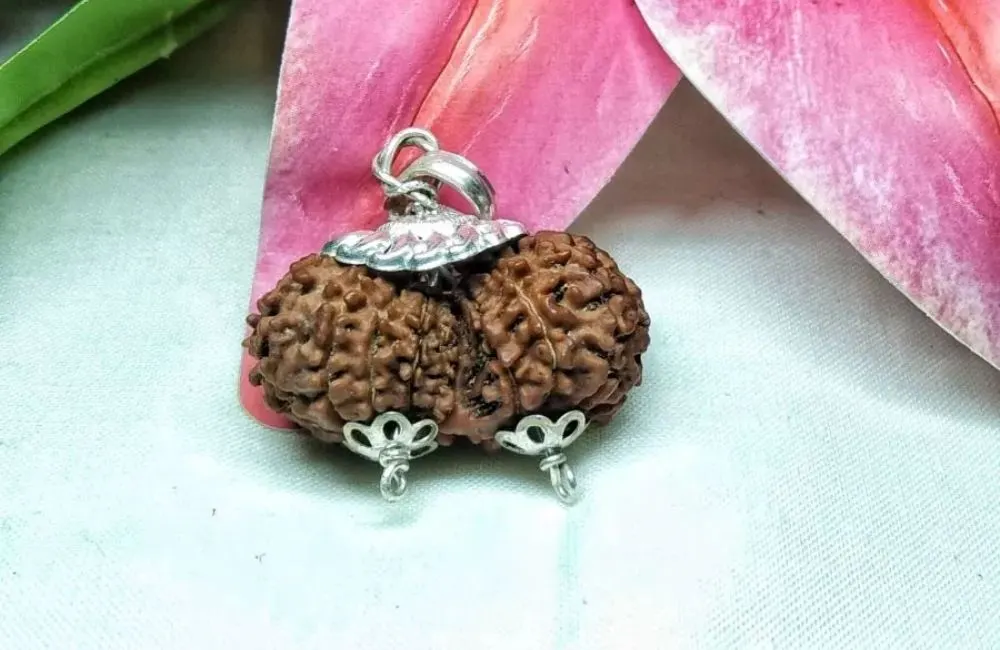 Gauri Shankar Rudraksha