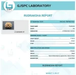14 Mukhi lab Certificate