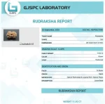 14 Mukhi lab Certificate