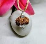 16 Mukhi Rudraksha