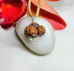 16 Mukhi Rudraksha