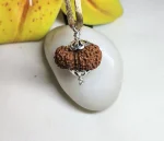 16 Mukhi Rudraksha