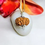16 Mukhi Rudraksha