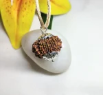 16 Mukhi Rudraksha