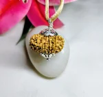 16 Mukhi Rudraksha