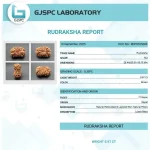 17 Mukhi lab Certificate