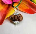 19 Mukhi Rudraksha