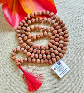 Rudraksha Mala