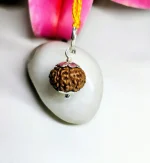10 Mukhi Rudraksha