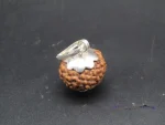 10 Mukhi Rudraksha