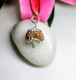 11 Mukhi Rudraksha