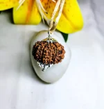 12 Mukhi Rudraksha