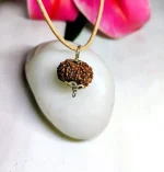 12 Mukhi Rudraksha