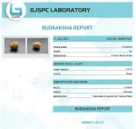 12 Mukhi lab Certificate