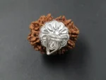 12 Mukhi Rudraksha