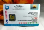 13 Mukhi Rudraksha