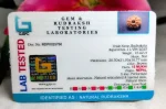 13 Mukhi Rudraksha