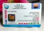 13 Mukhi Rudraksha
