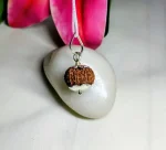 13 Mukhi Rudraksha