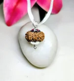 13 Mukhi Rudraksha
