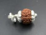 13 Mukhi Rudraksha