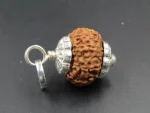13 Mukhi Rudraksha