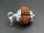 13 Mukhi Rudraksha