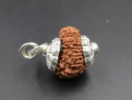 13 Mukhi Rudraksha